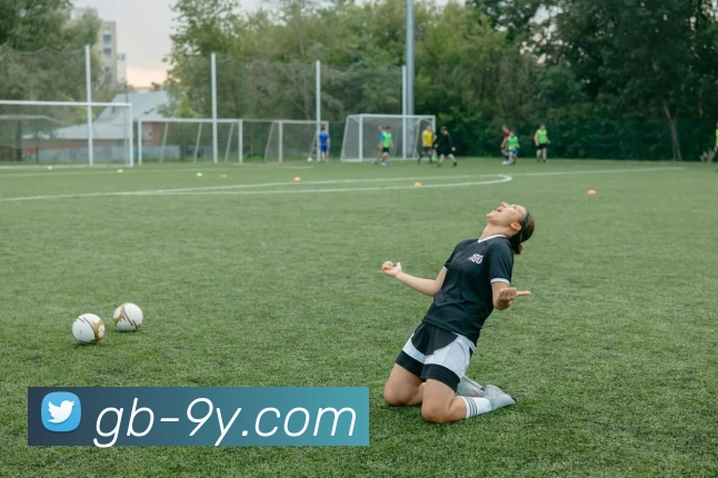 App Interface Preview