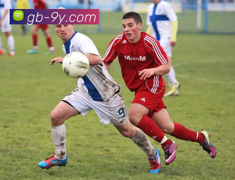 九游官网APP 封面图